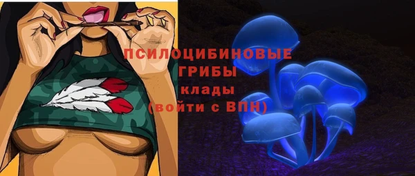 ECSTASY Киреевск