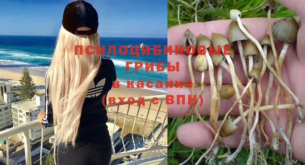 ECSTASY Киреевск