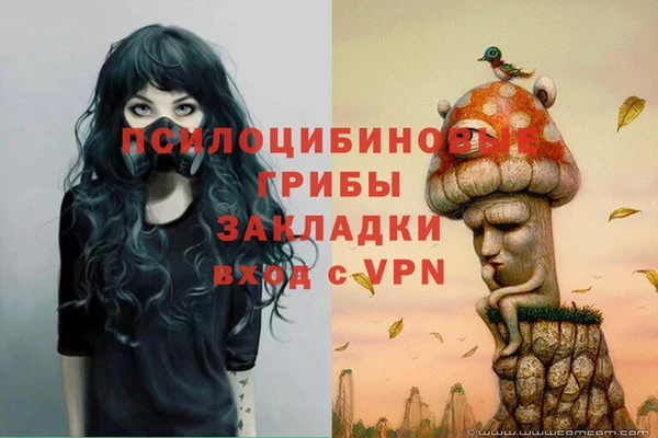 ECSTASY Киреевск