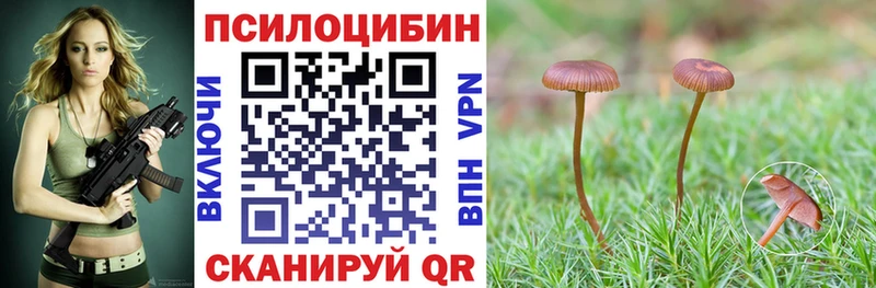 Галлюциногенные грибы мицелий Купить Лабытнанги